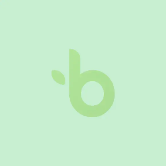 image fallback bambo fund square
