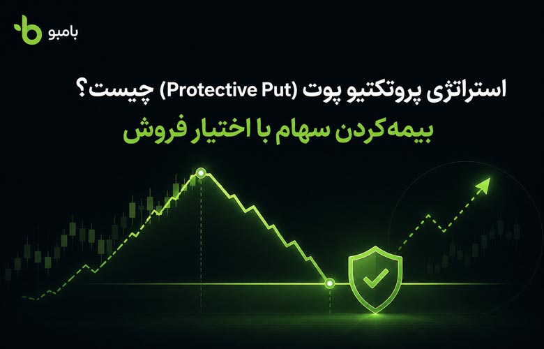 استراتژی پروتکتیو پوت